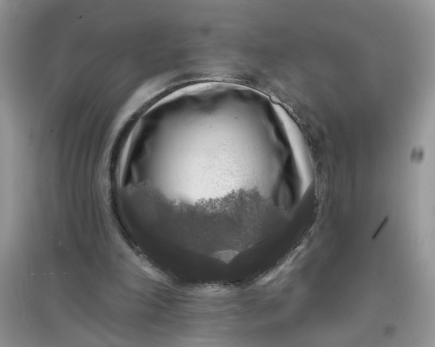 X0000097630198200803142031