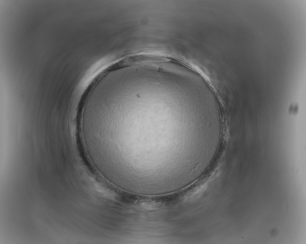 X0000097630199200803142031