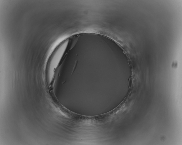 X0000097630200200803142031