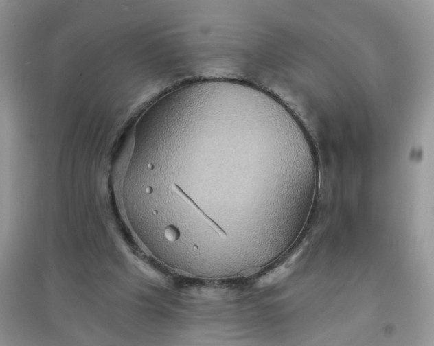 X0000097630201200803142031