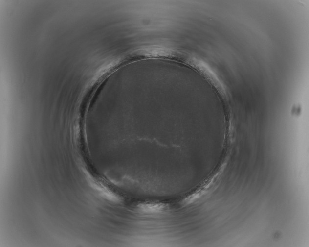 X0000097630202200803142031