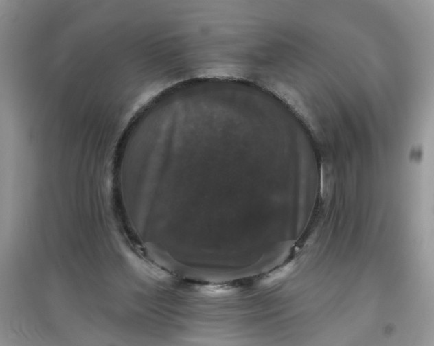 X0000097630204200803142031