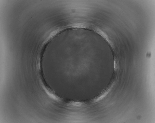 X0000097630205200803142031