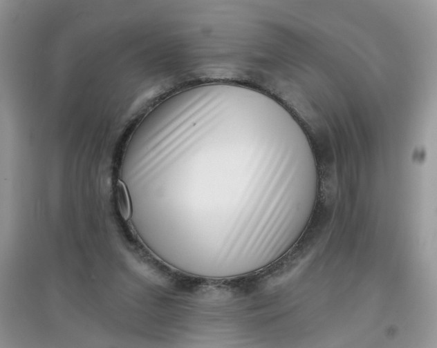 X0000097630207200803142031