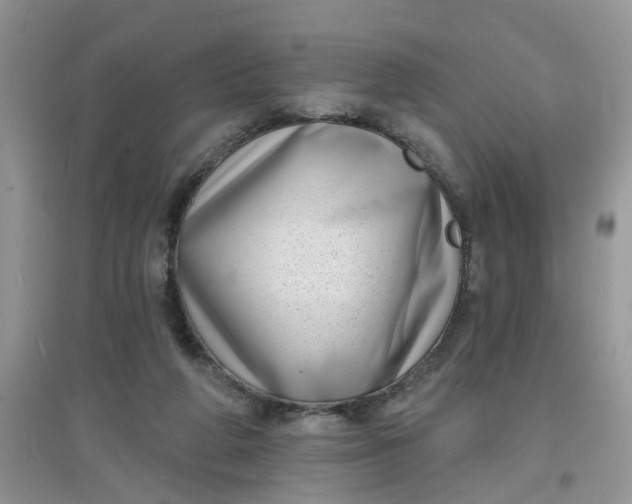 X0000097630210200803142031