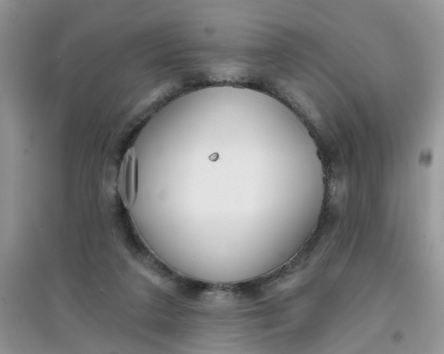 X0000097630211200803142031