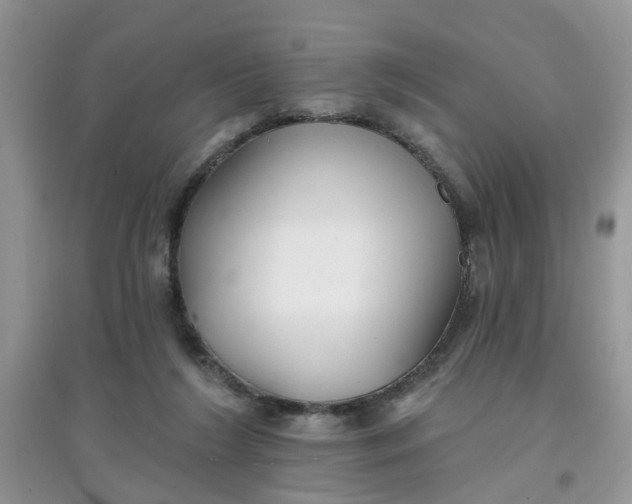 X0000097630212200803142031