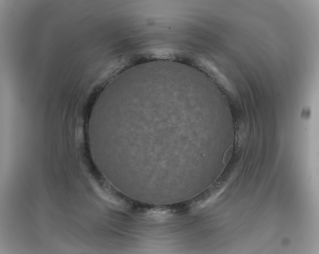 X0000097630213200803142031