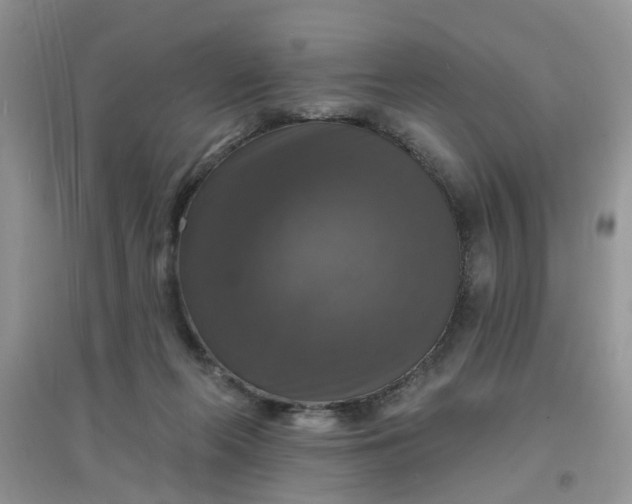 X0000097630214200803142031