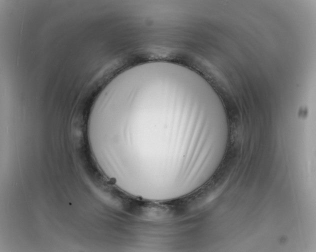 X0000097630215200803142031