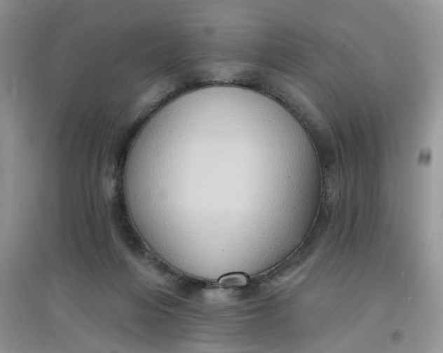 X0000097630216200803142031