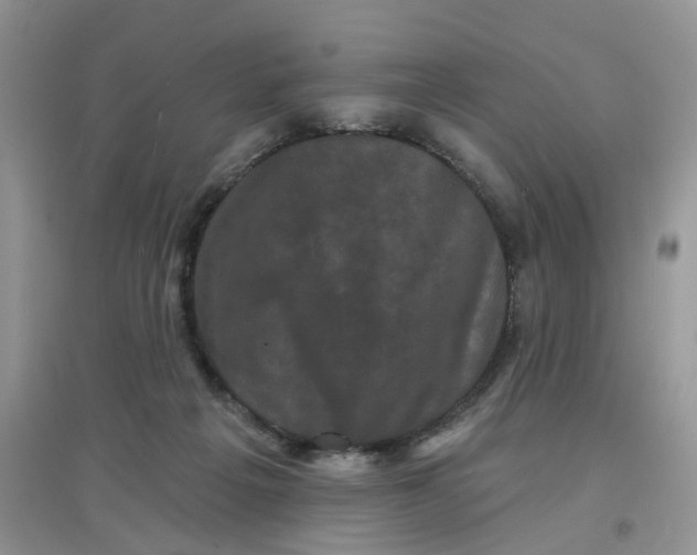 X0000097630217200803142031