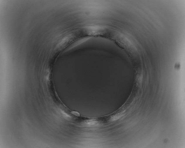 X0000097630219200803142031