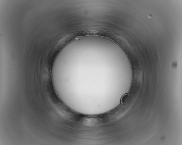 X0000097630220200803142031