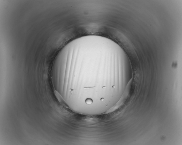 X0000097630221200803142031