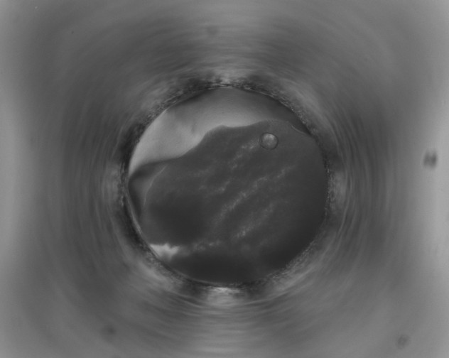 X0000097630222200803142031