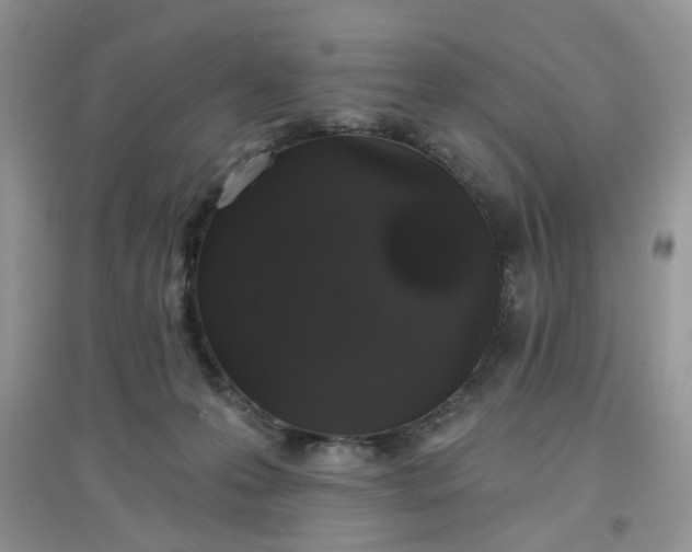 X0000097630223200803142031