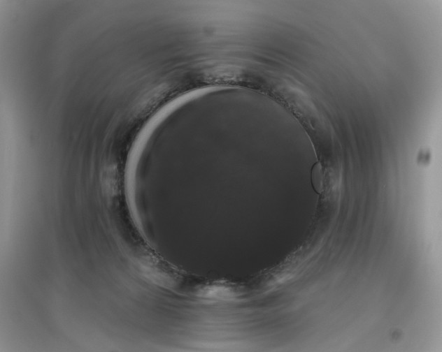 X0000097630224200803142031