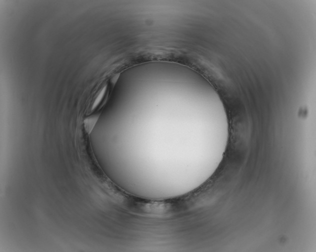 X0000097630225200803142031