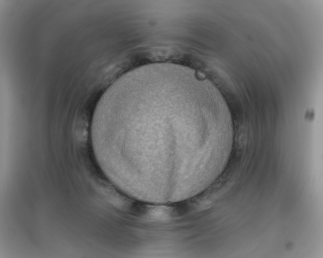 X0000097630226200803142031