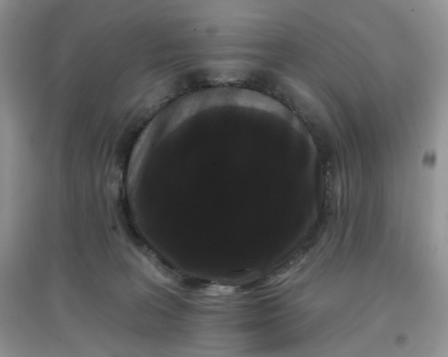 X0000097630227200803142031