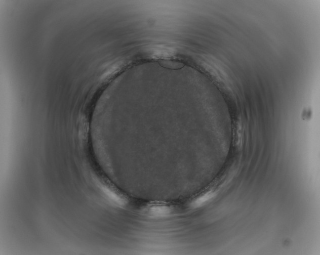 X0000097630228200803142031