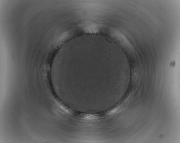 X0000097630229200803142031