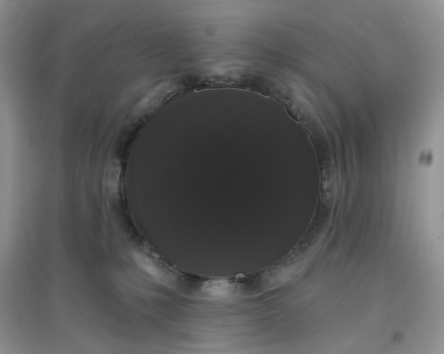 X0000097630231200803142031