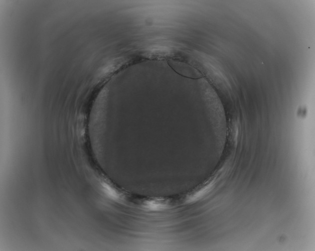 X0000097630232200803142031