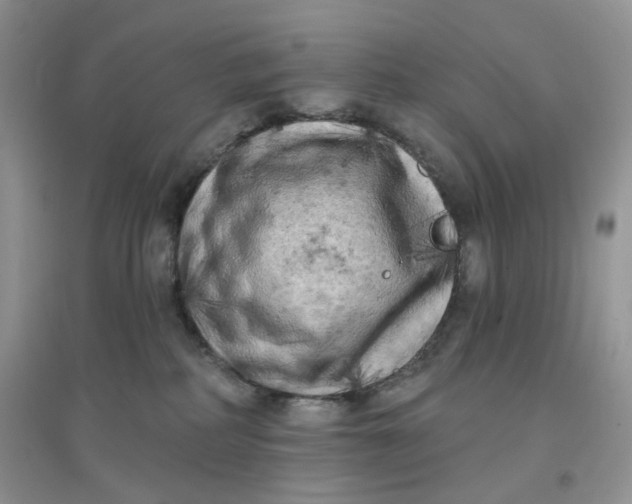 X0000097630234200803142031