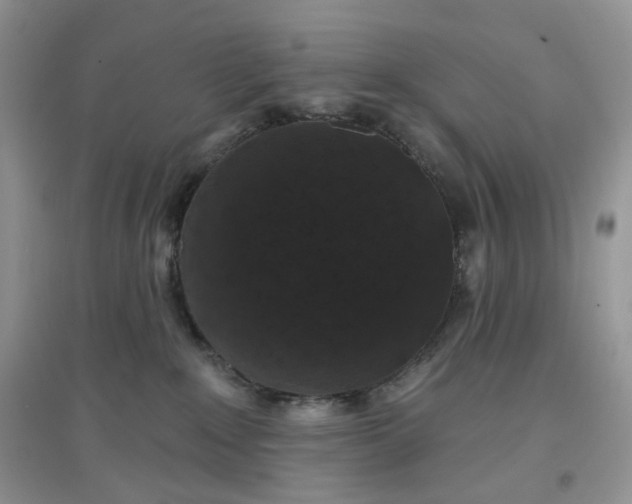 X0000097630235200803142031