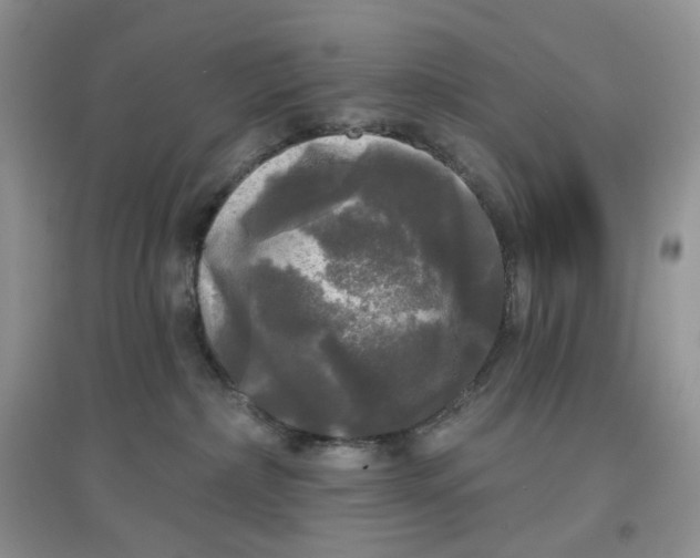 X0000097630236200803142031