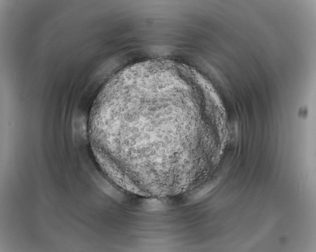 X0000097630238200803142031