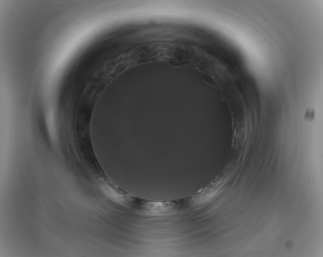 X0000097630239200803142031