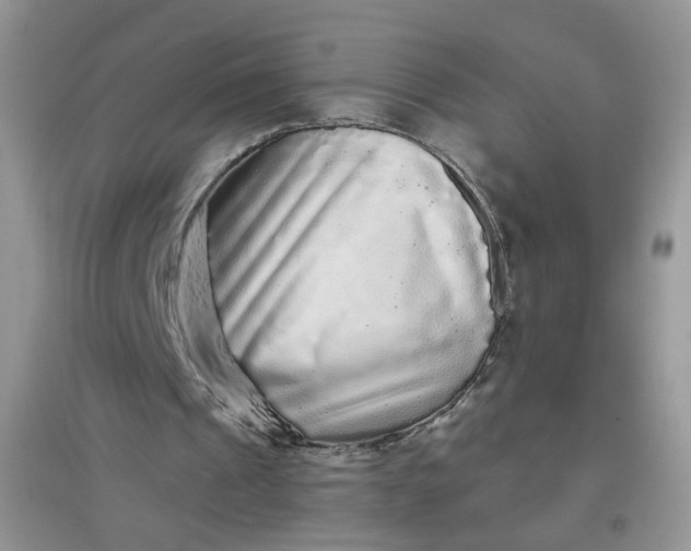 X0000097630241200803142030