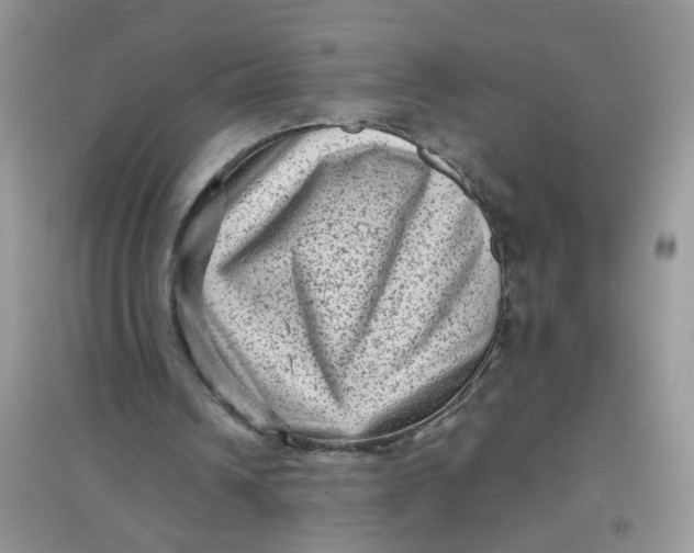 X0000097630242200803142030