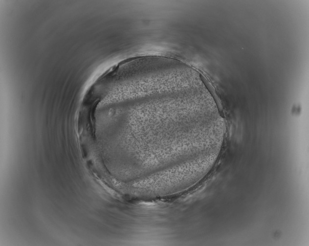 X0000097630244200803142030