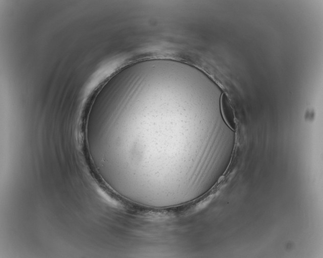 X0000097630245200803142030