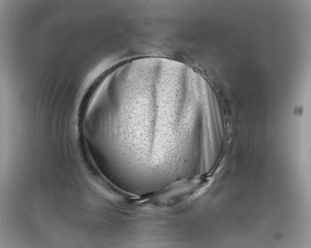 X0000097630246200803142030