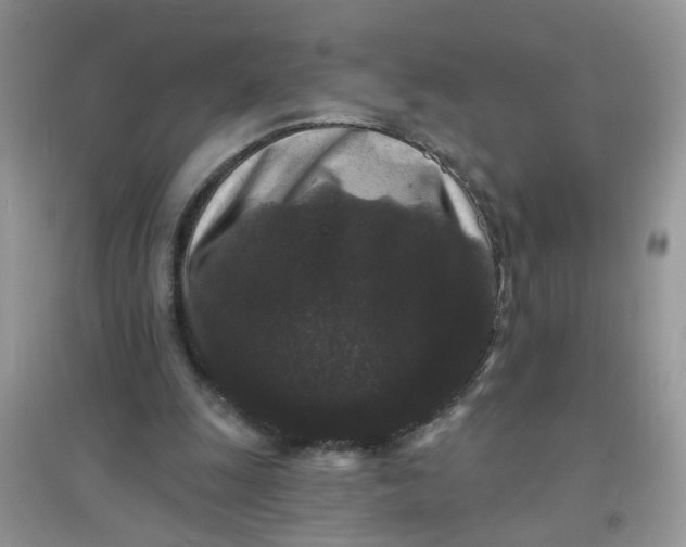 X0000097630247200803142030