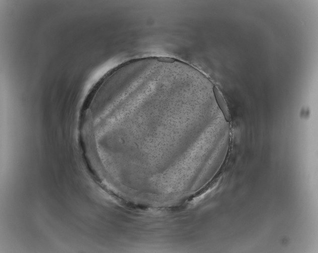 X0000097630248200803142030