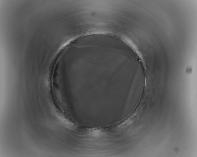 X0000097630249200803142030