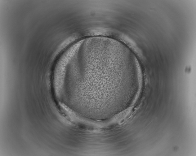 X0000097630250200803142030