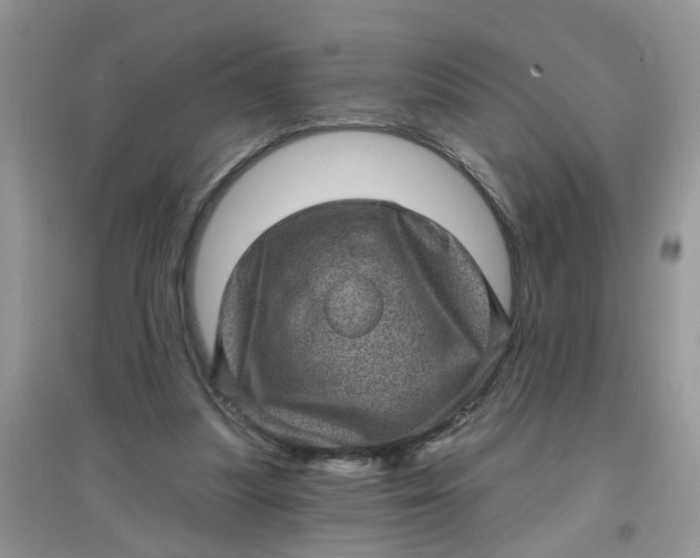 X0000097630251200803142030