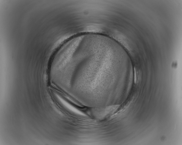 X0000097630252200803142030