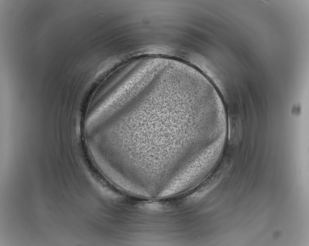 X0000097630253200803142030