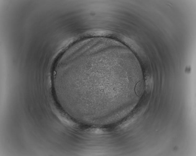 X0000097630254200803142030