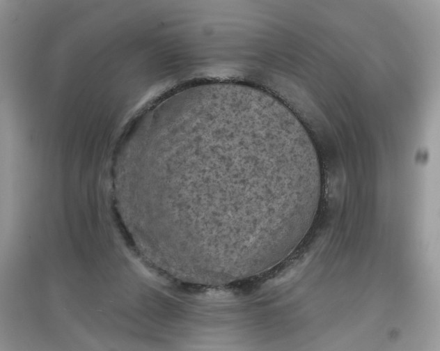 X0000097630256200803142030