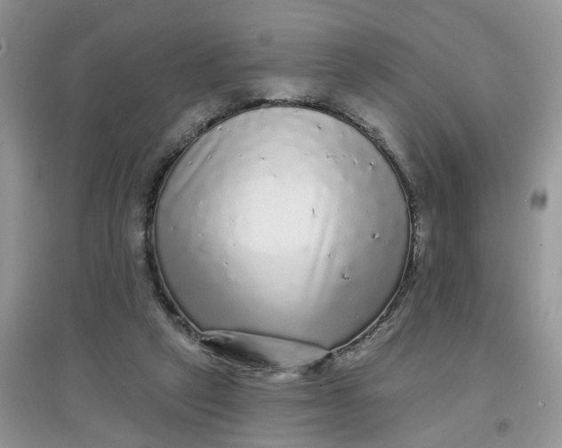 X0000097630257200803142030