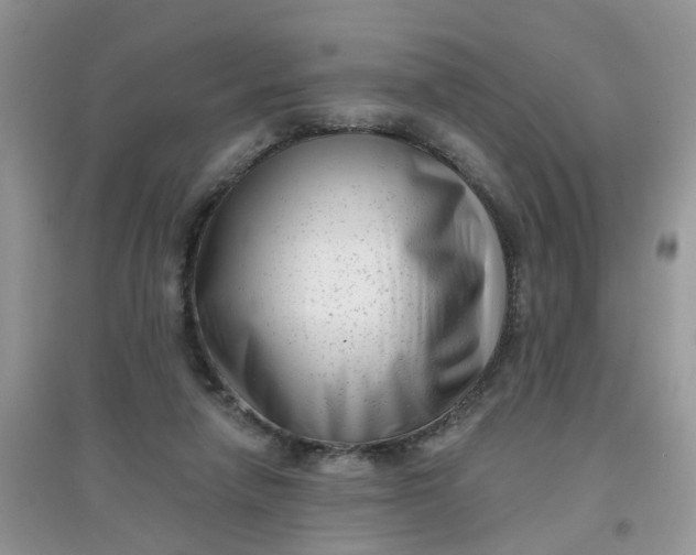 X0000097630258200803142030